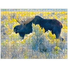 Traditional Jigsaw Puzzles