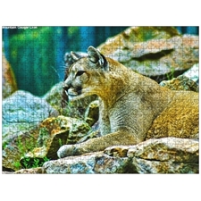 Traditional Jigsaw Puzzles