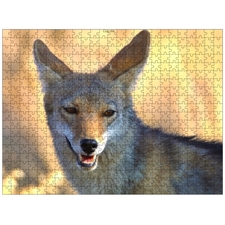 Traditional Jigsaw Puzzles