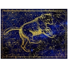 Traditional Jigsaw Puzzles