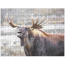Traditional Jigsaw Puzzles
