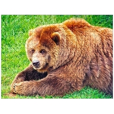 Traditional Jigsaw Puzzles