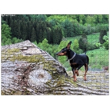 Traditional Jigsaw Puzzles
