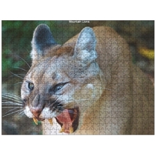 Traditional Jigsaw Puzzles