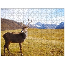 Traditional Jigsaw Puzzles