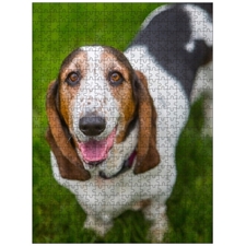 Traditional Jigsaw Puzzles