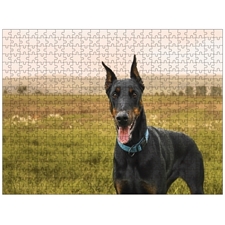 Traditional Jigsaw Puzzles