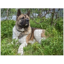 Traditional Jigsaw Puzzles