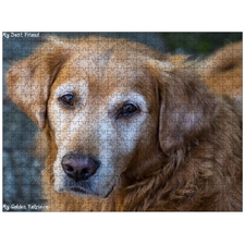 Traditional Jigsaw Puzzles