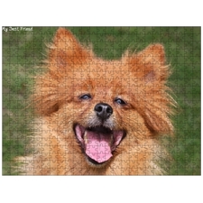 Traditional Jigsaw Puzzles