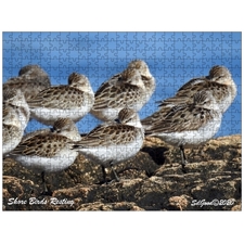 Traditional Jigsaw Puzzles