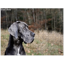 Traditional Jigsaw Puzzles