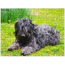 Traditional Jigsaw Puzzles