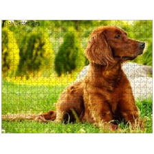 Traditional Jigsaw Puzzles
