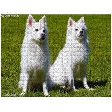 Traditional Jigsaw Puzzles