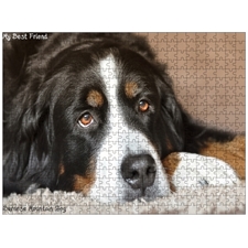 Traditional Jigsaw Puzzles