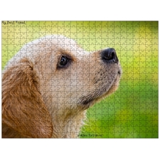 Traditional Jigsaw Puzzles