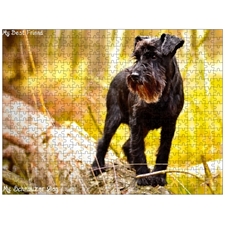 Traditional Jigsaw Puzzles