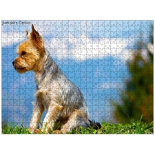 Traditional Jigsaw Puzzles