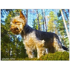 Traditional Jigsaw Puzzles