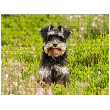 Traditional Jigsaw Puzzles
