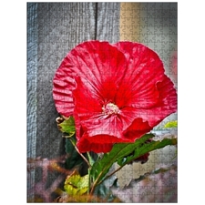 Traditional Jigsaw Puzzles