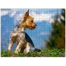 Traditional Jigsaw Puzzles