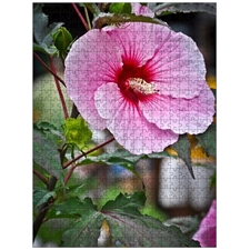 Traditional Jigsaw Puzzles