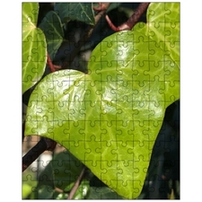 Jigsaw Puzzles 10