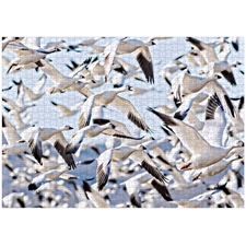 Traditional Jigsaw Puzzles