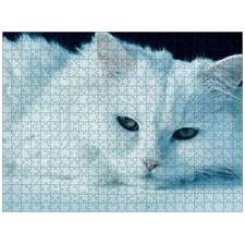 Traditional Jigsaw Puzzles