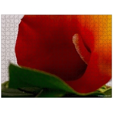 Traditional Jigsaw Puzzles