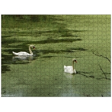 Traditional Jigsaw Puzzles