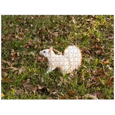 Traditional Jigsaw Puzzles