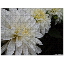 Traditional Jigsaw Puzzles