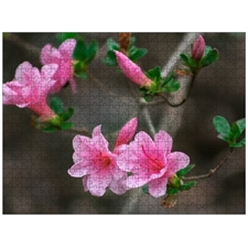 Traditional Jigsaw Puzzles