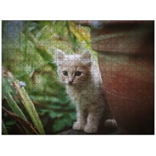 Traditional Jigsaw Puzzles