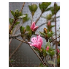 Mini Puzzle