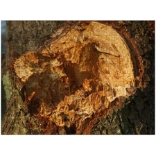 Traditional Jigsaw Puzzles