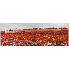 Traditional Jigsaw Puzzles