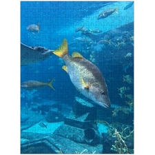 Traditional Jigsaw Puzzles