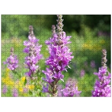 Traditional Jigsaw Puzzles