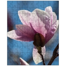 Jigsaw Puzzles 10