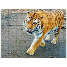 Traditional Jigsaw Puzzles