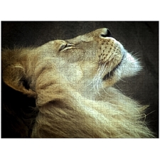 Traditional Jigsaw Puzzles
