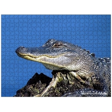 Traditional Jigsaw Puzzles