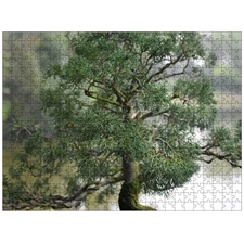 Traditional Jigsaw Puzzles