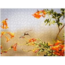 Traditional Jigsaw Puzzles