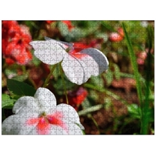 Traditional Jigsaw Puzzles