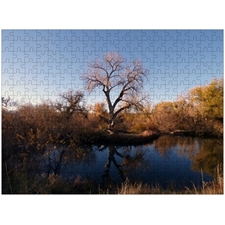 Traditional Jigsaw Puzzles